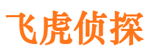 横县市调查公司